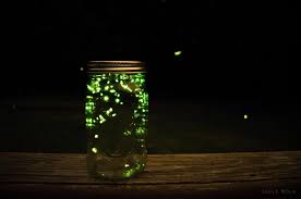 Making Memories With Your Kids During the Lazy Days of Summer