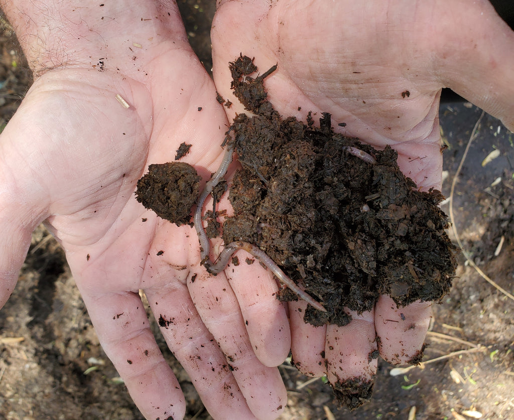 The Key to a Sustainable, Healthy Garden is the Soil!