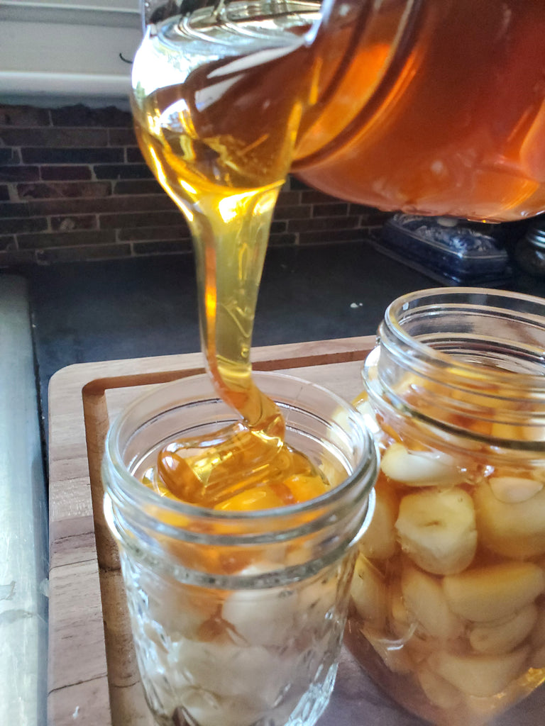 Garlic and Honey Immune Booster